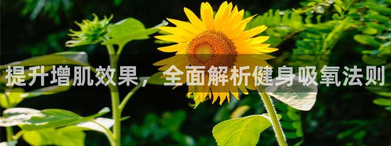意昂2代理