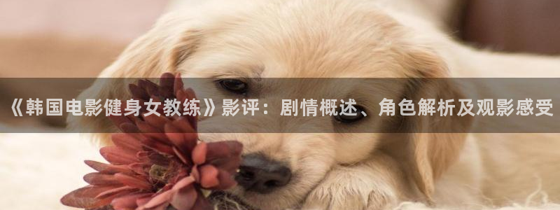 意昂2官网