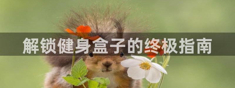 意昂2招商