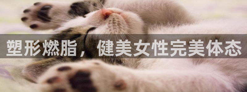 意昂2官方平台