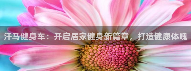 意昂2娱乐
