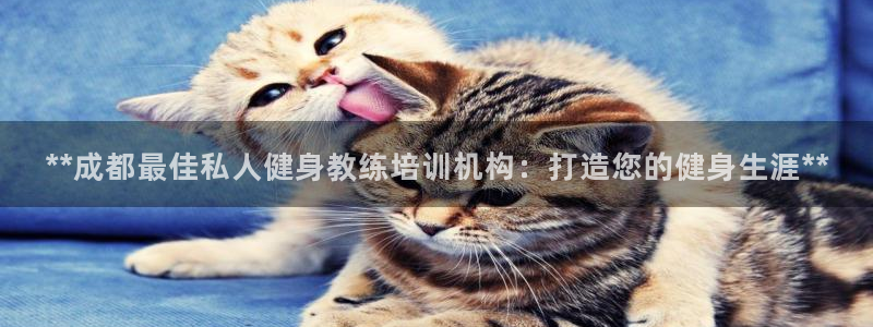 意昂2娱乐