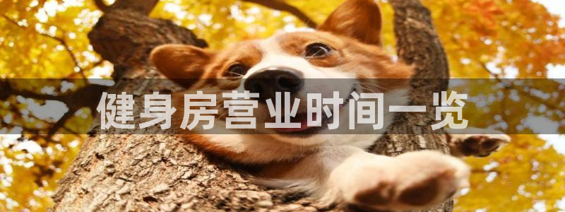 意昂2招商
