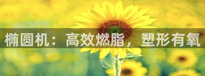 意昂2官网