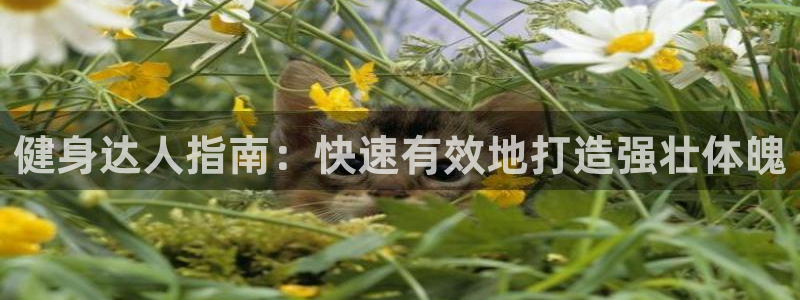 意昂2官网