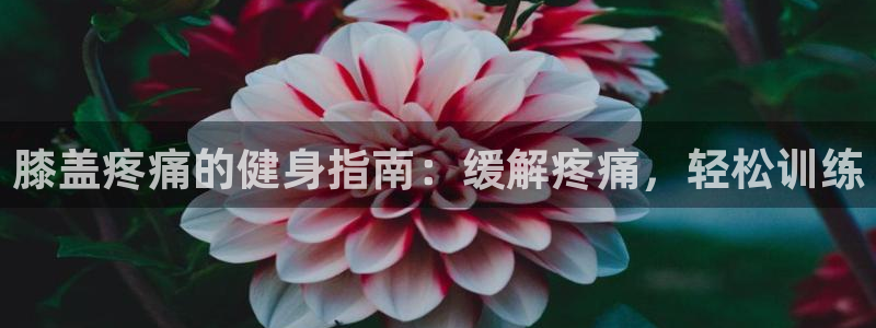 意昂2官方平台