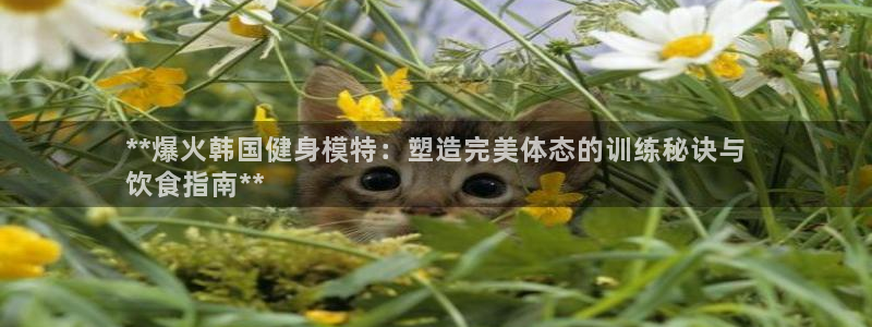 意昂2招商
