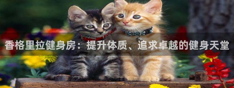 意昂2代理