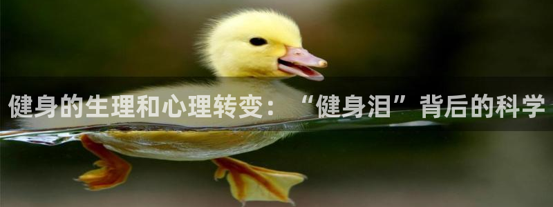 意昂2招商
