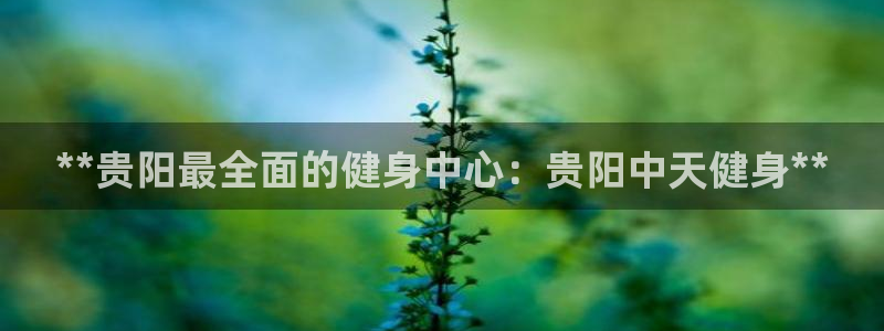 意昂2平台